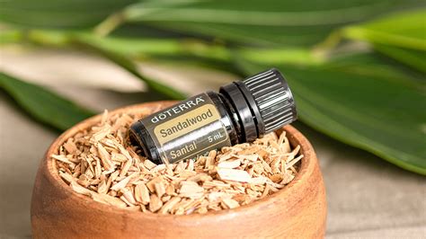 Sandalwood Essential Oil Benefits