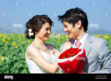 portrait  bride  groom     sunflower field stock