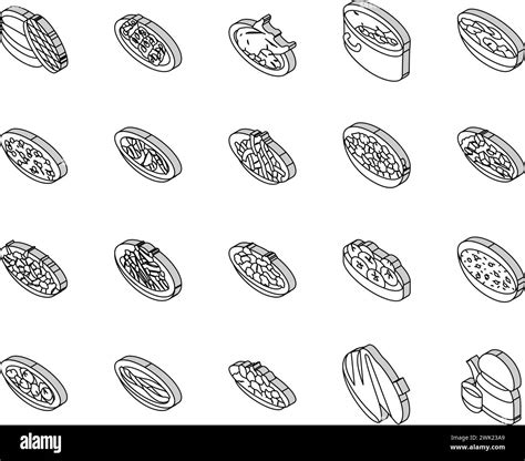 Chinese Cuisine Food Dish Asian Isometric Icons Set Vector Stock Vector Image And Art Alamy