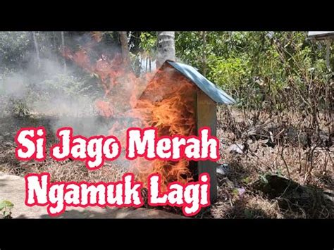 Si Jago Merah Ngamuk Lagi Rumah Tingkat Ludes Terbakar Youtube