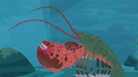 Wild Kratts Lobster Atelier Yuwaciaojp