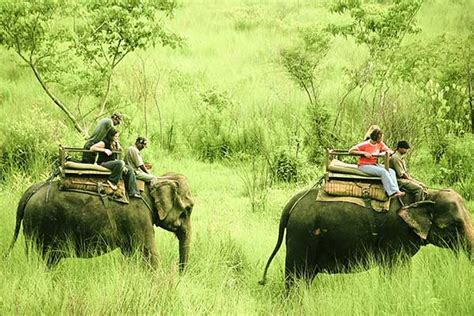 Rainforest Resort Chitwan Nepal A Perfect Gateway For Private And