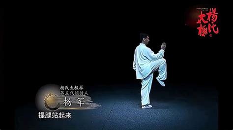 杨军（第五代嫡传人）：杨氏太极拳：详细教学：58金鸡独立（1） 体育视频 搜狐视频