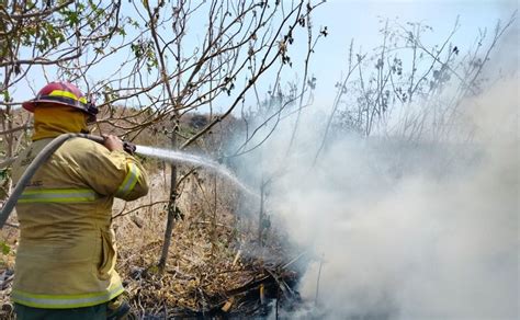 Detienen A Cuatro Hombres Por Causar Incendios Forestales En Jalisco