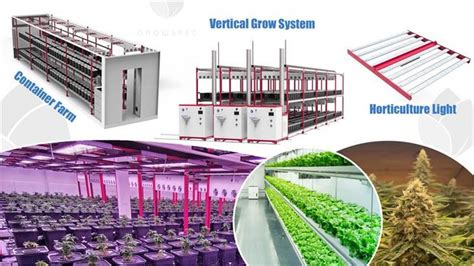 China Custom Vertical Farming In Shipping Container Manufacturers ...