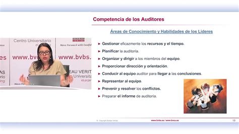 Perfil De Un Auditor Youtube Riset