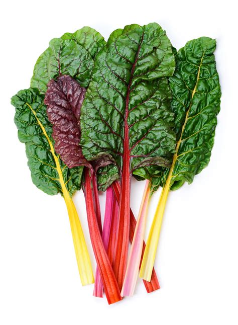 Swiss Chard, Bright Lights Seeds – Hometown Seeds