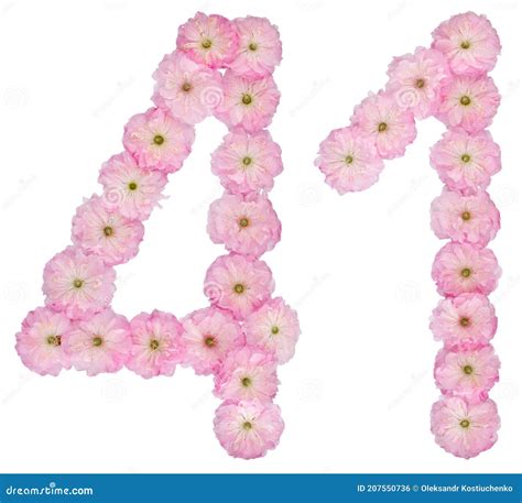 Numeral 41 Cuarenta Y Uno De Flores Rosadas Naturales De Almendro