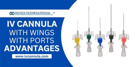 A Comprehensive Guide How To Use 3 Way IV Cannula