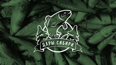 Логотип "Дары Сибири" :: Behance