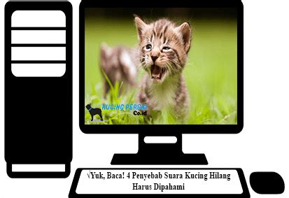 Mengobati Suara Kucing Hilang