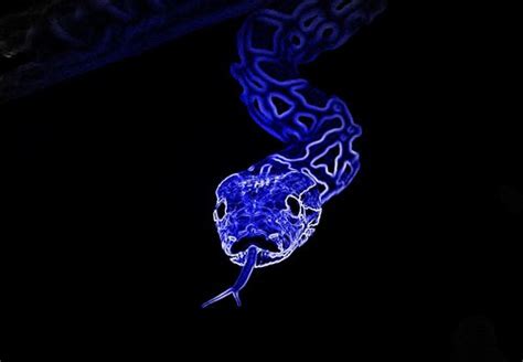 Neon Snake Wallpaper - WallpaperSafari