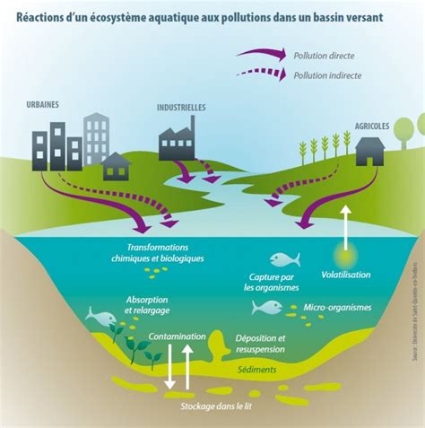 southwest florida international airport uber