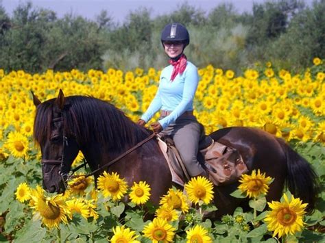 Top 10 Beginner Horse Riding Holidays Worldwide