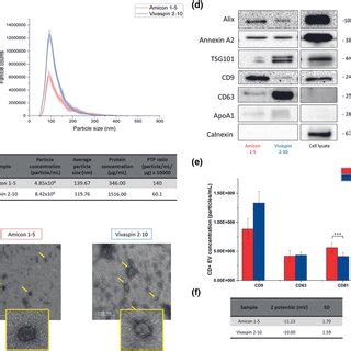 Analysis Of Combined And Reconcentrated Samples From Fractions By