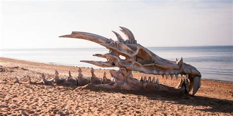 Existieron los dragones Tropicalísima 660