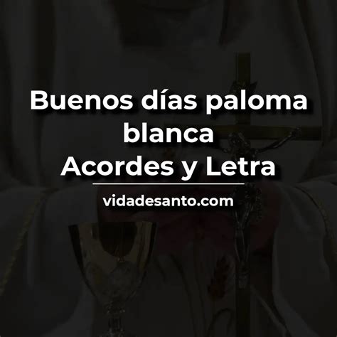 Buenos D A Paloma Blanca Acordes Y Letra Vida De Santo