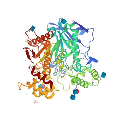 Rcsb Pdb 7qhe Human Butyrylcholinesterase In Complex With S 1 4 Naphthalen 1 Yl