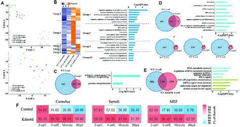 Histone Methylation Is Important To The Development Of SCNT Embryos A