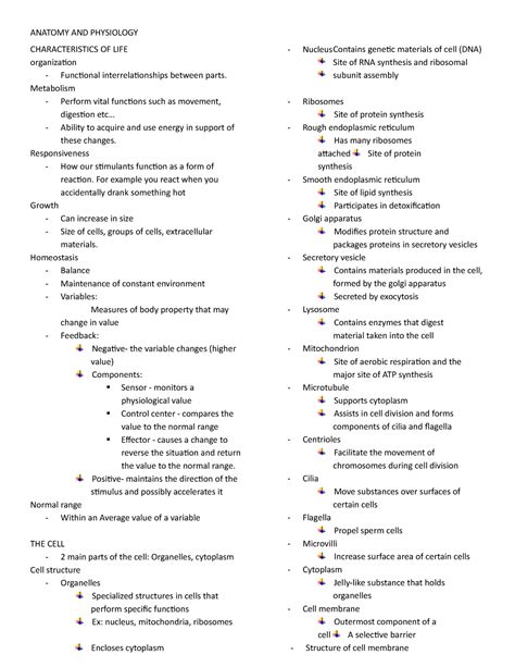 Seeley S Essentials Of Anatomy And Physiology Th Edition Chapter