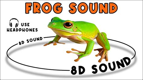 Frog Sound Frog Sound Effect Noise Of Frog Animal Sound Youtube