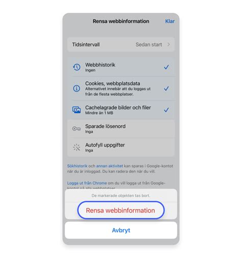 Så rensar du cachen på en iPhone En enkel steg för steg guide NordVPN