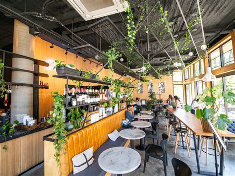 The 20 Best Coffee Shops In Seattle - Seattle - The Infatuation