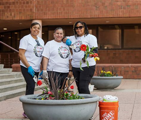 Roots and Remembrance: York Blooms for Earth Day - York College / City