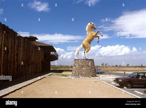 roy rogers museum