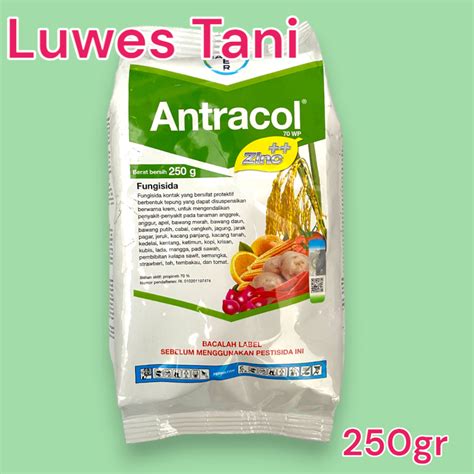 Jual Antracol Wp Propineb Gr Fungisida Shopee Indonesia