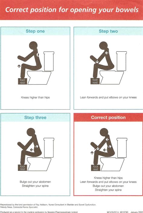 Ms Mobility Rehab Quest More On Bowel Management