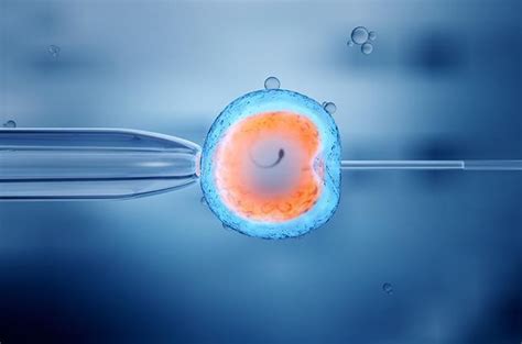 In Vitro Fertilization Ivf A Comprehensive Overview