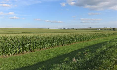 Iowa Corn Field Butler County Iowa As Seen From Iowa St Flickr