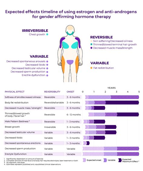 Timeline Of Estrogen Progesterone And Testosterone Blockers