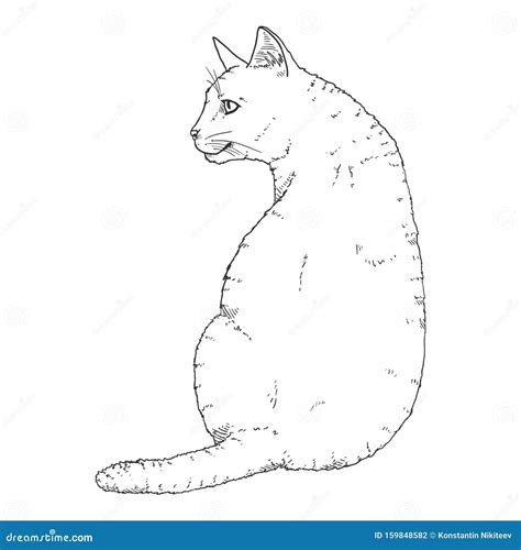 Sitting Cat Vector Sketch Feline Illustration Stock Vector