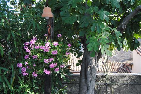 Il Giardino Pensile Del Castello Gaudenzi Ad Anticoli Corrado