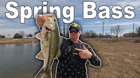 Early Spring Bass Fishing Ponds Fishing Fort Worth Texas Bass