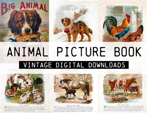 Big Animal Picture Book, DIGITAL DOWNLOAD, Printable, 1902, Use for ...