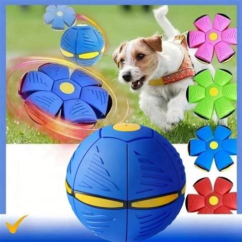 Novo brinquedo de bola de mastigação e busca para cães 2024 jogo de