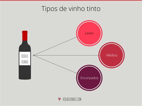 Tipos De Vinho Tinto - Guia de Introdução Aos Vinhos Tintos - Vida & Vinho