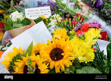 Her Majesty Queen Elizabeth II funeral floral tributes- Floral tributes ...