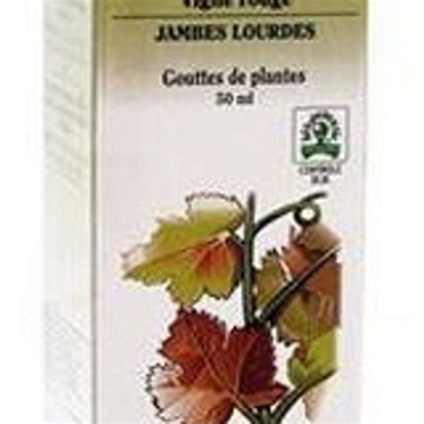 Avis Vigne Rouge Vitis Vinifera Bio Femininbio