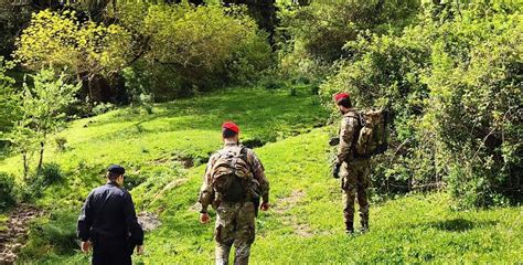 Parco Dei Nebrodi I Carabinieri Sorprendono Cinque Cacciatori In Area