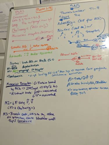 605 Pharmacology Whiteboards Flashcards Quizlet