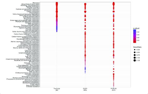 Significantly Over Represented KEGG Functional Hierarchies By