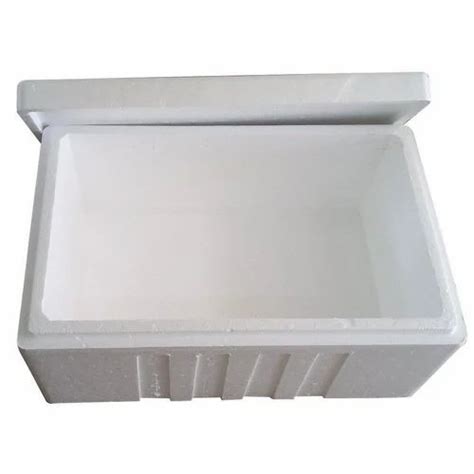 Normal Eps 10 L White Thermocol Ice Box At Rs 300piece In Faridabad