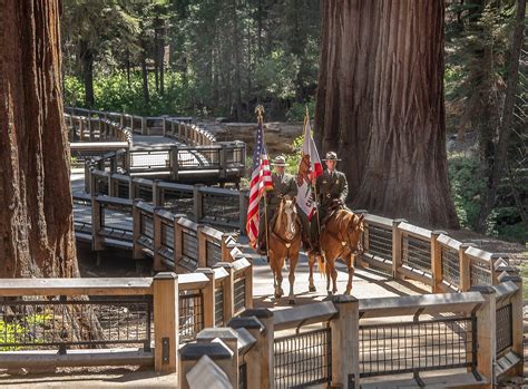 Restoring Mariposa Grove — Yosemite Conservancy