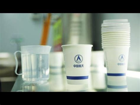 Water Based Coated Paper Cup Production Process Hunan Lido YouTube