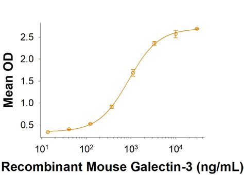 Recombinant Mouse Siglec E Fc Chimera Protein CF 5806 SL 050 R D Systems