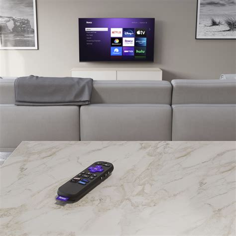 Snapklik.com : Roku Voice Remote